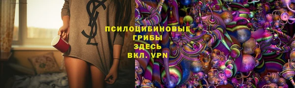 прущие крисы Арсеньев