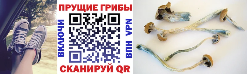 Галлюциногенные грибы ЛСД  площадка какой сайт  Дыгулыбгей 